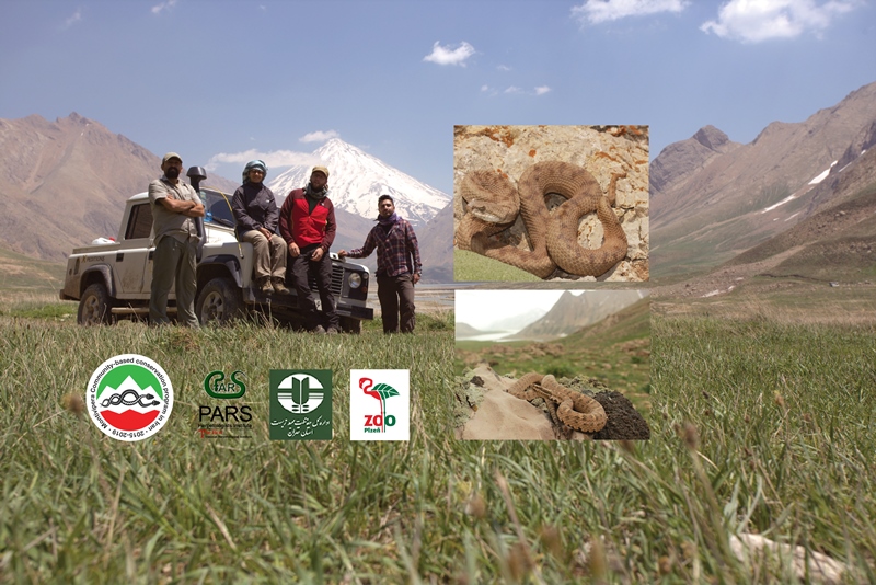 طرح آموزش مردم محلی، پایش و بررسی زیستگاه افعی لطیفی(Montivipera latifii)  در پارک ملی لار
