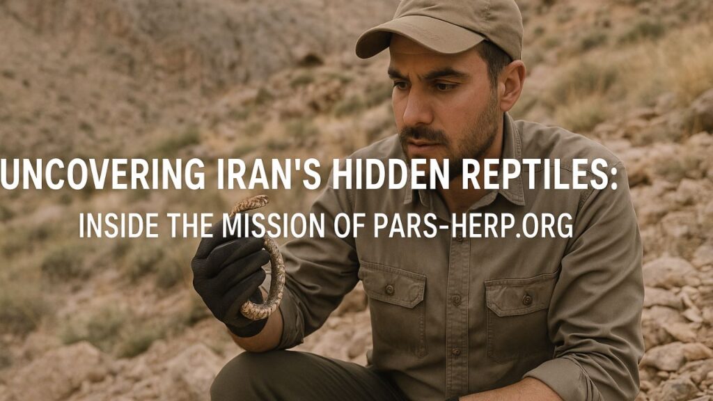 Iran Hidden Reptiles