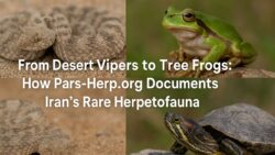 From Desert Vipers to Tree Frogs: How Pars-Herp.org Documents Iran’s Rare Herpetofauna
