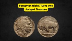 Forgotten for 30 Years, Piggy Bank Yields Buffalo Nickel Worth Thousands!